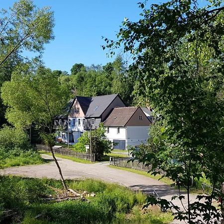 Naturferienhaus Luppbodemuhle Allrode Zewnętrze zdjęcie