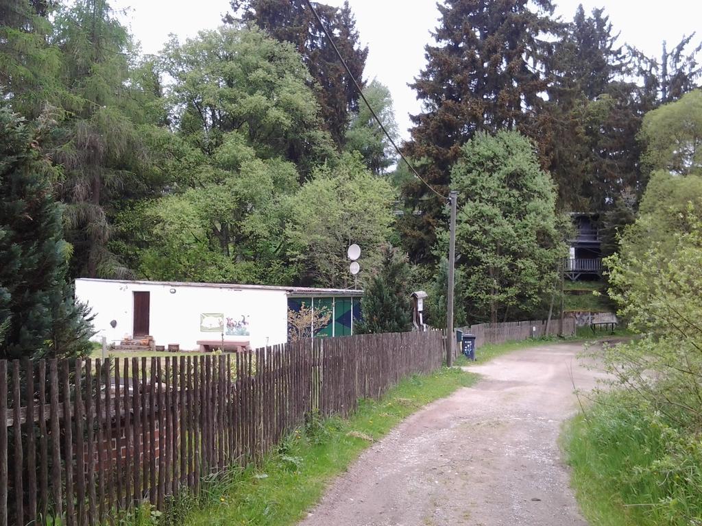 Naturferienhaus Luppbodemuhle Allrode Zewnętrze zdjęcie