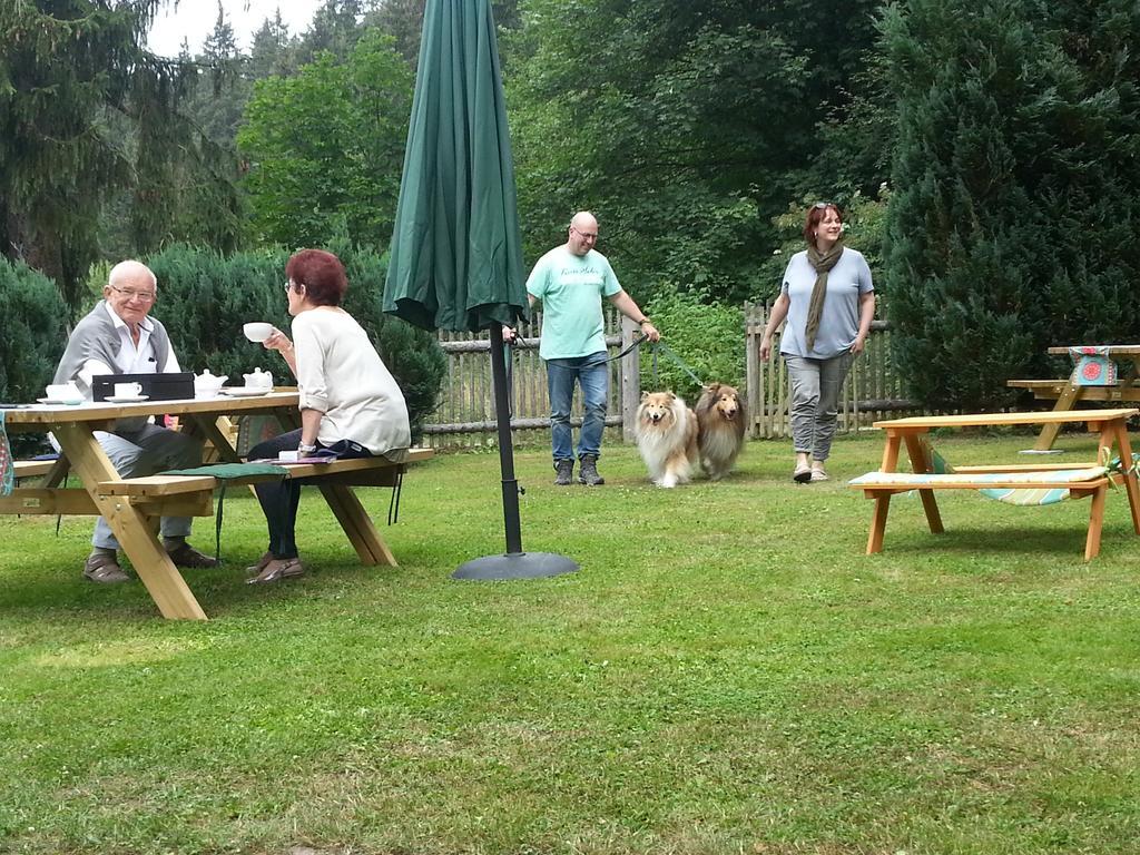 Naturferienhaus Luppbodemuhle Allrode Zewnętrze zdjęcie