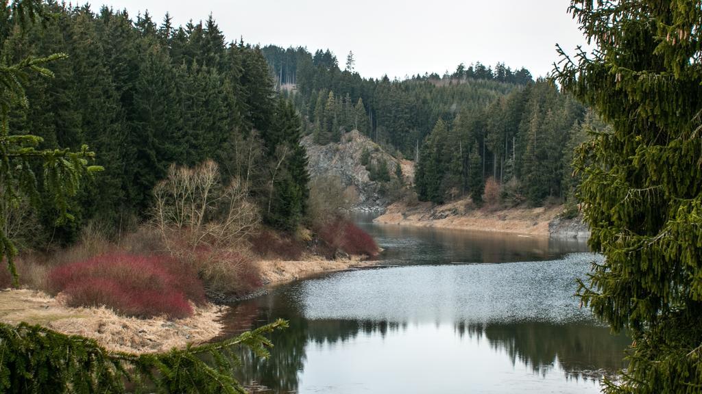 Naturferienhaus Luppbodemuhle Allrode Zewnętrze zdjęcie