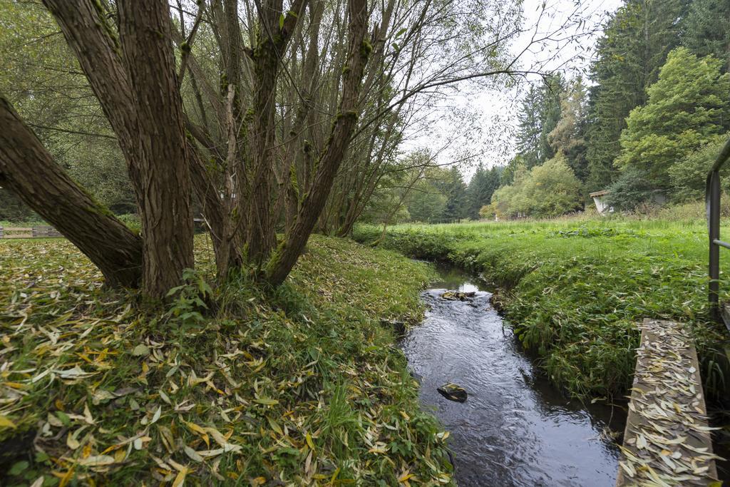 Naturferienhaus Luppbodemuhle Allrode Zewnętrze zdjęcie